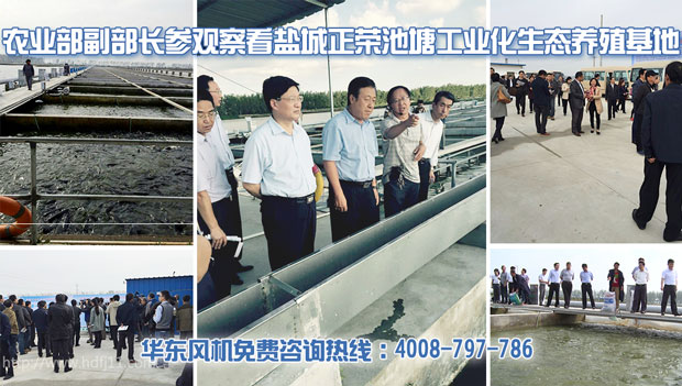 水产养殖麻豆精品一区二区风机