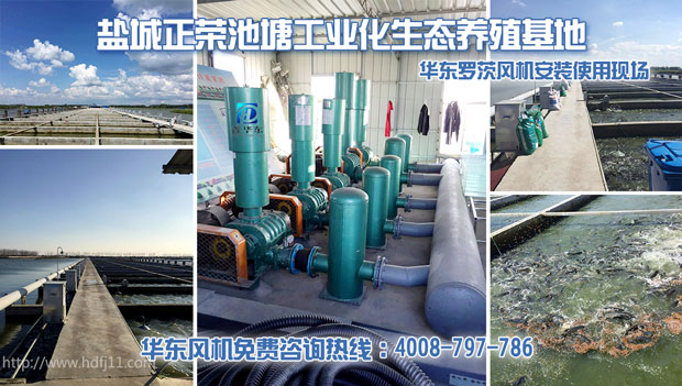 水产养殖麻豆精品一区二区风机