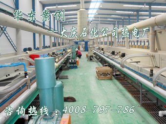 麻豆影视在线案例-大庆石化公司热电厂