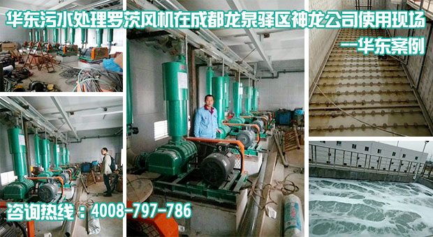 麻豆影视在线曝气风机在神龙公司污水处理站