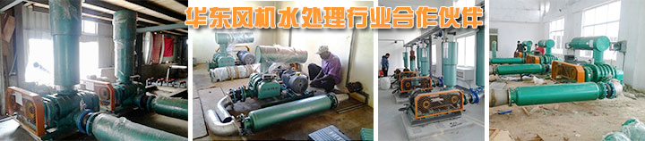 污水池处理风机 麻豆影视在线风机案例.jpg