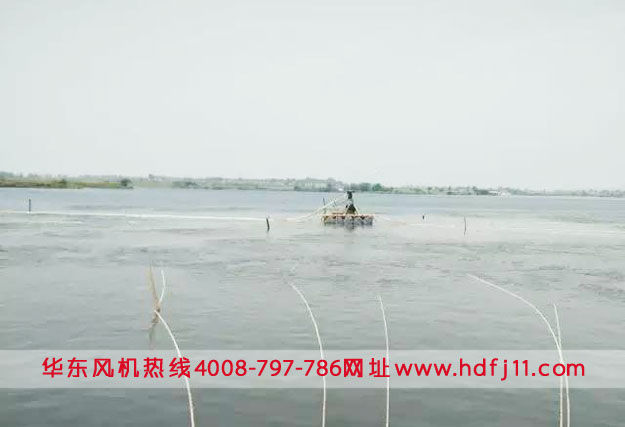 微孔曝气增氧机鳜鱼水产养殖.jpg