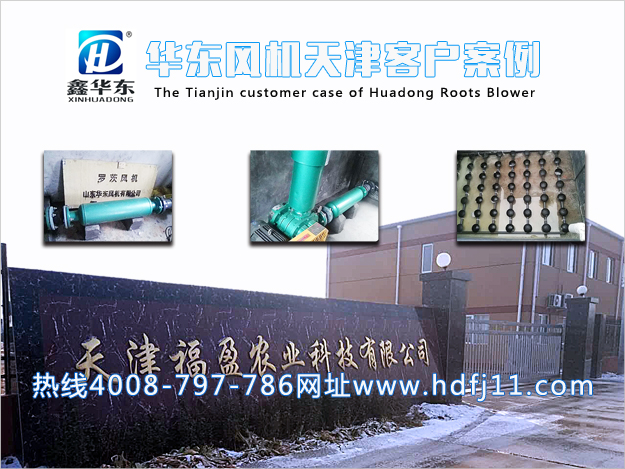 麻豆影视在线案例