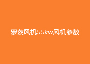 麻豆精品一区二区风机55KW参数.jpg