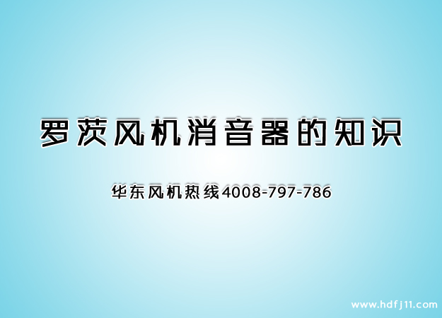 麻豆精品一区二区鼓风机消音器.jpg