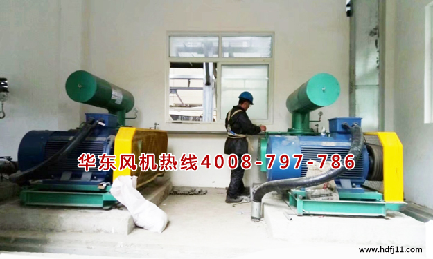 三叶麻豆精品一区二区风机 三叶麻豆精品一区二区风机