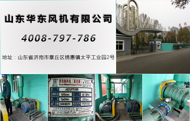 三叶麻豆精品一区二区风机