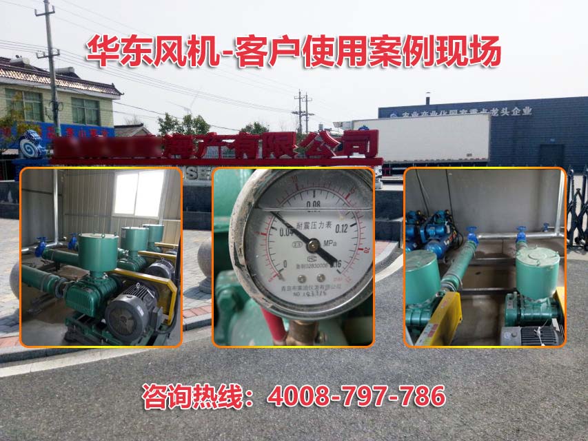 三叶麻豆精品一区二区风机