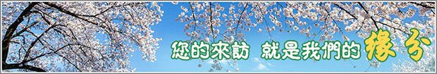 麻豆影视在线风机