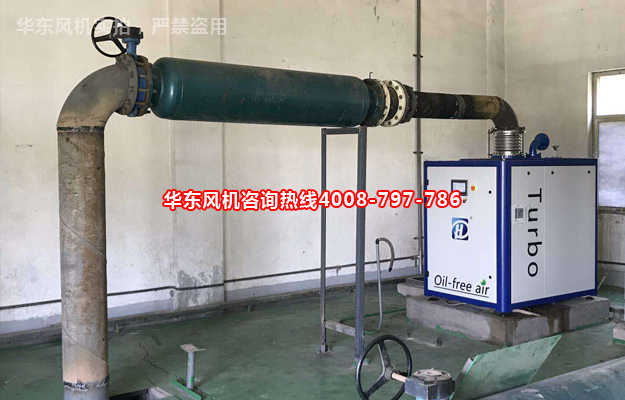 国产麻豆免费在线观看