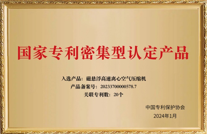 国家专利密集型认定产品