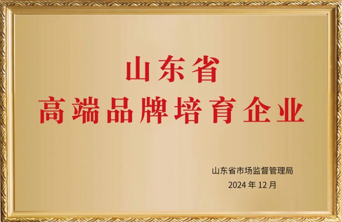 山东高端品牌培育企业