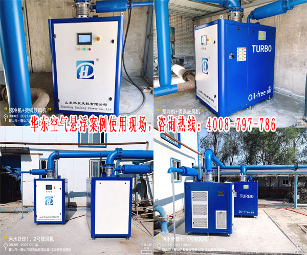 国产麻豆免费在线观看